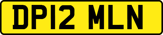 DP12MLN
