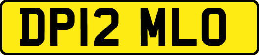 DP12MLO