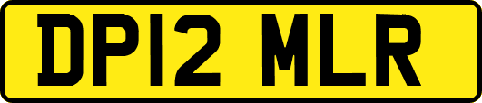 DP12MLR