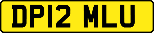 DP12MLU