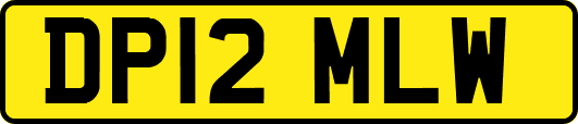 DP12MLW