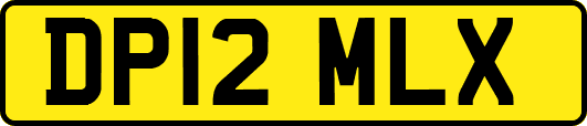 DP12MLX