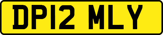 DP12MLY