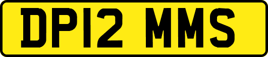 DP12MMS