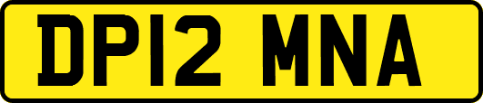 DP12MNA