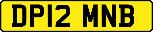 DP12MNB