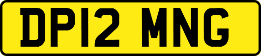 DP12MNG