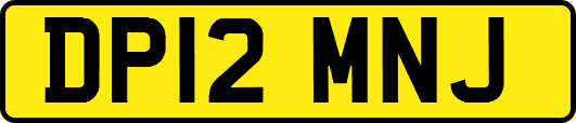DP12MNJ
