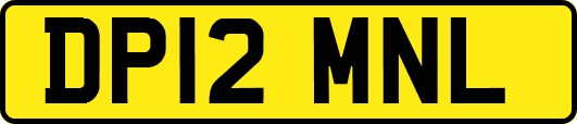 DP12MNL