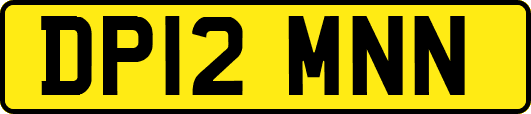 DP12MNN