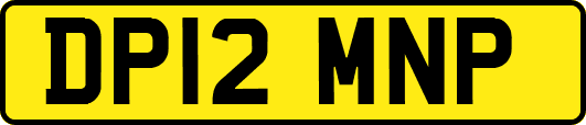 DP12MNP