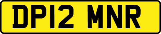 DP12MNR