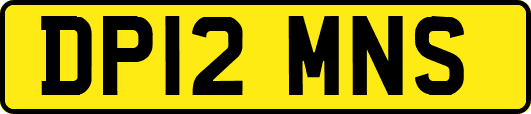 DP12MNS