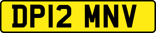DP12MNV