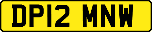 DP12MNW