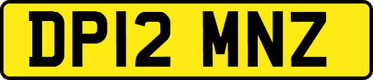 DP12MNZ