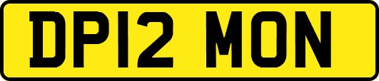 DP12MON