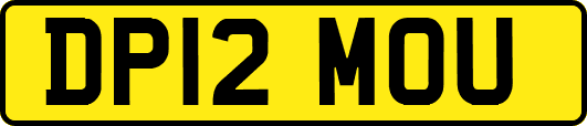 DP12MOU