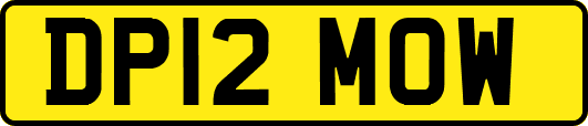 DP12MOW