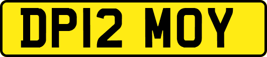 DP12MOY