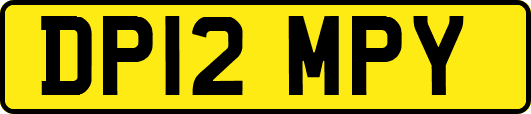 DP12MPY