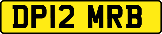 DP12MRB