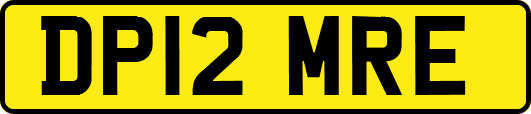 DP12MRE