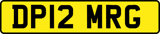 DP12MRG