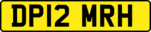 DP12MRH