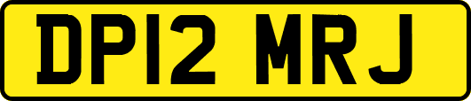DP12MRJ