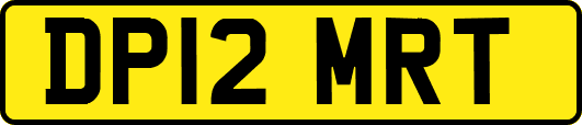 DP12MRT