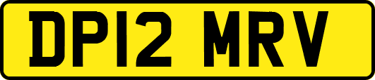 DP12MRV