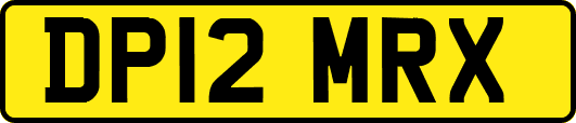 DP12MRX
