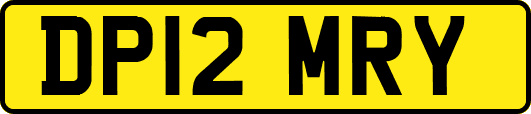 DP12MRY