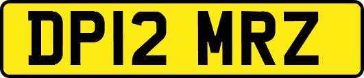 DP12MRZ