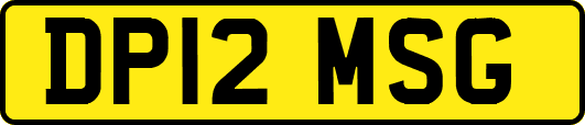 DP12MSG