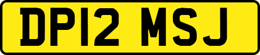 DP12MSJ