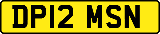 DP12MSN