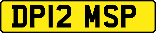 DP12MSP