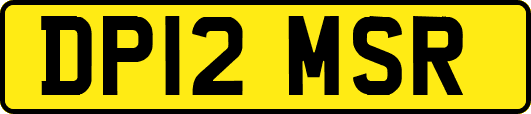 DP12MSR