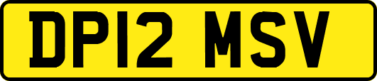 DP12MSV
