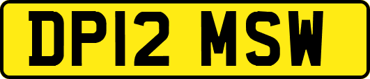 DP12MSW