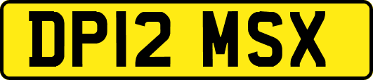 DP12MSX