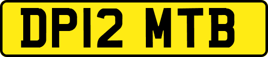 DP12MTB