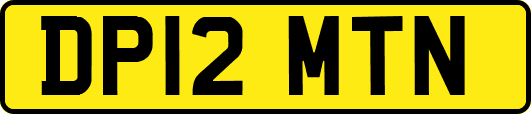 DP12MTN