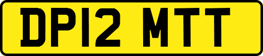 DP12MTT