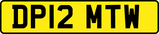 DP12MTW
