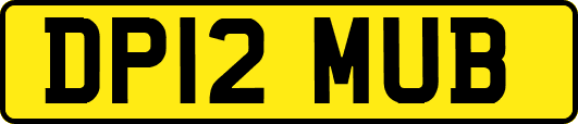 DP12MUB