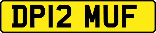 DP12MUF