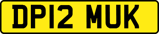 DP12MUK